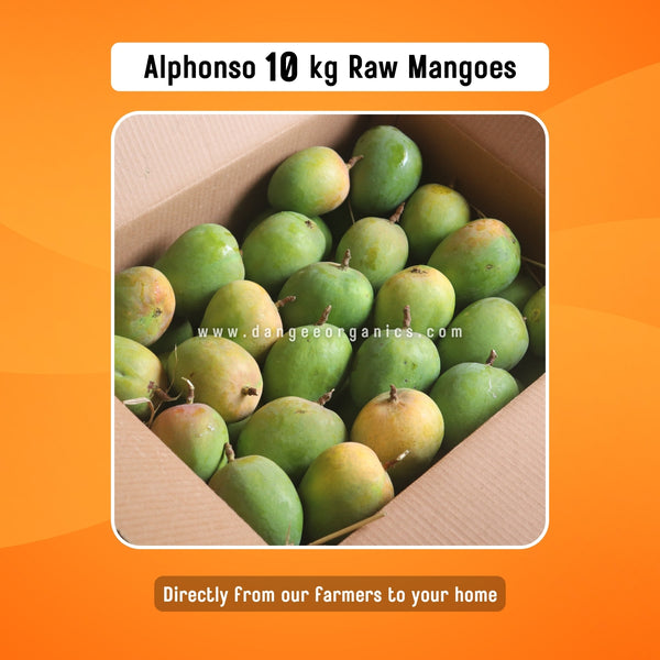 Premium Alphonso Raw Mangoes / 10 kg