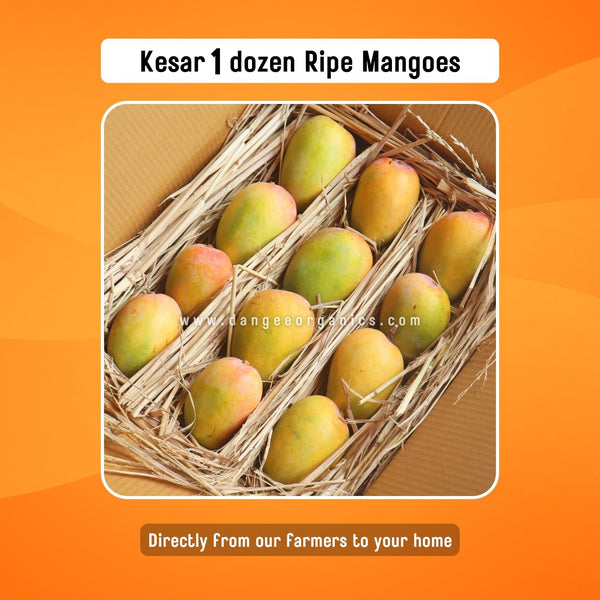 Premium Kesar Ripen Mangoes / 1 dozen