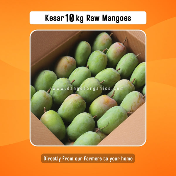 Premium Kesar Raw Mangoes / 10 kg